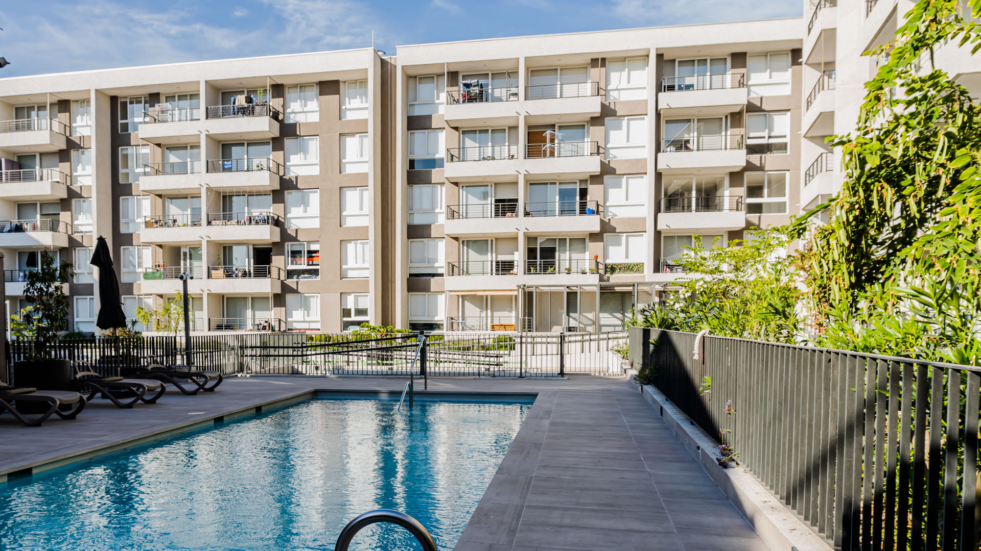 Piscina del edificio con reposeras, rodeada de vegetación